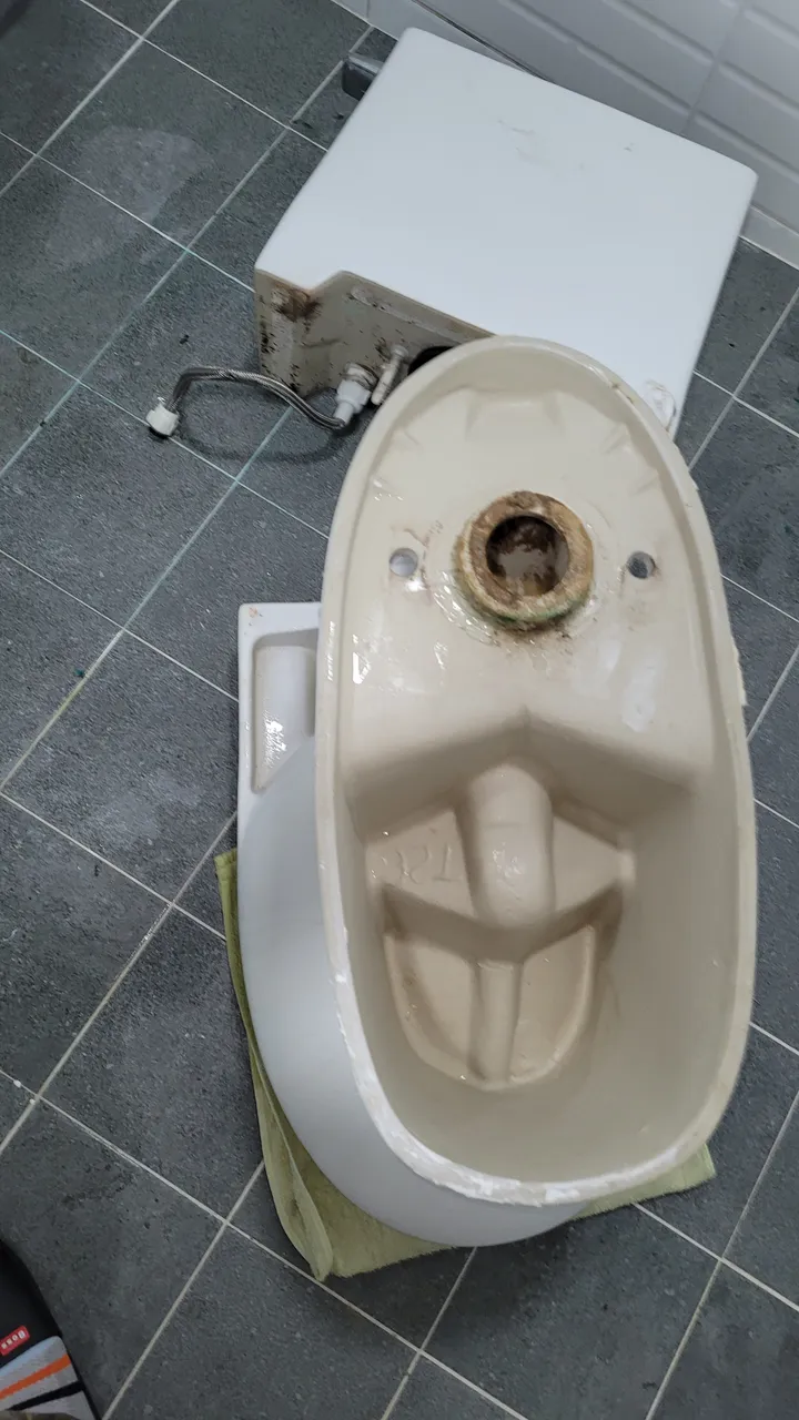 느긋한 수달 리뷰 사진 2