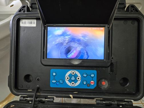 のんびりカワウソ レビュー写真