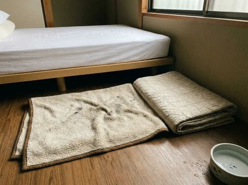 전O연 리뷰 사진